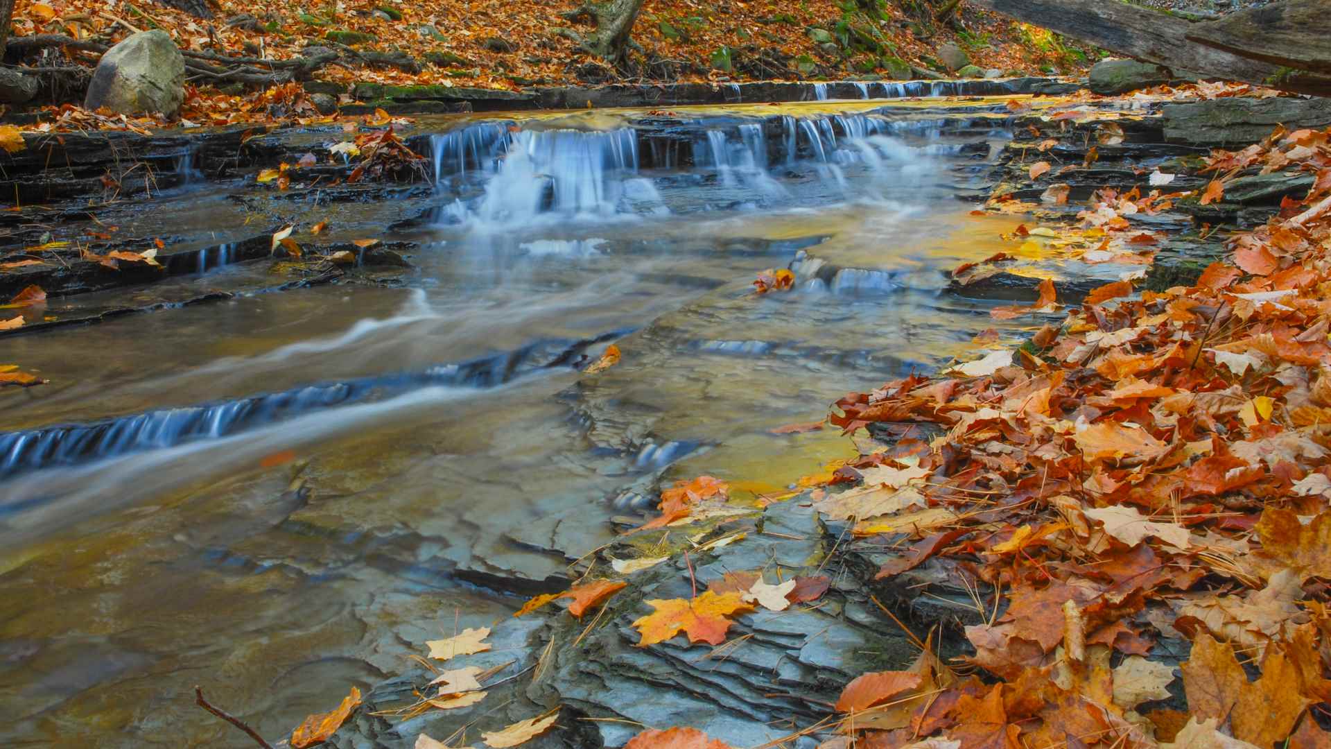 meditation-retreats-in-the-finger-lakes-of-new-york-springwater-center