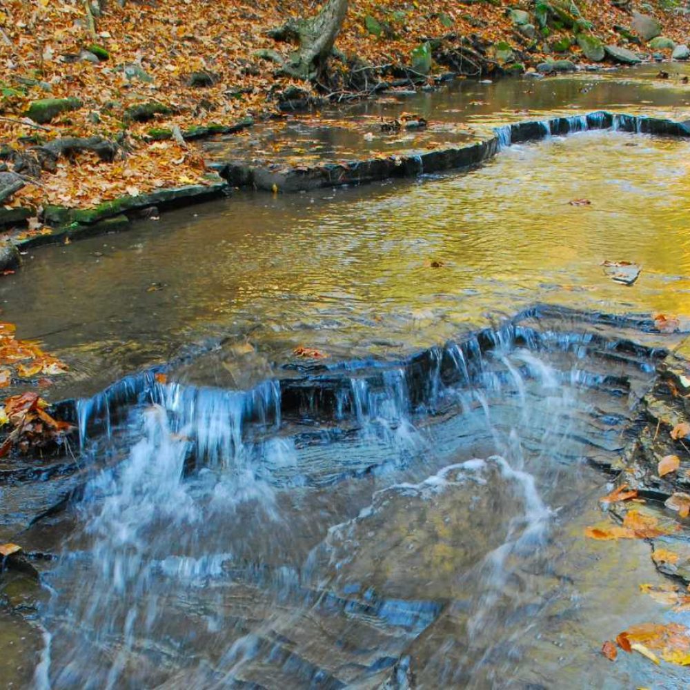 Meditation Retreats in the Finger Lakes of New York - Springwater Center