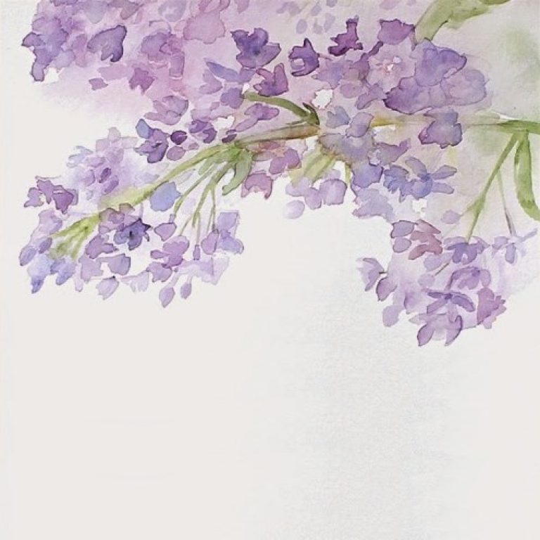 Upcoming Events – Springwater Center