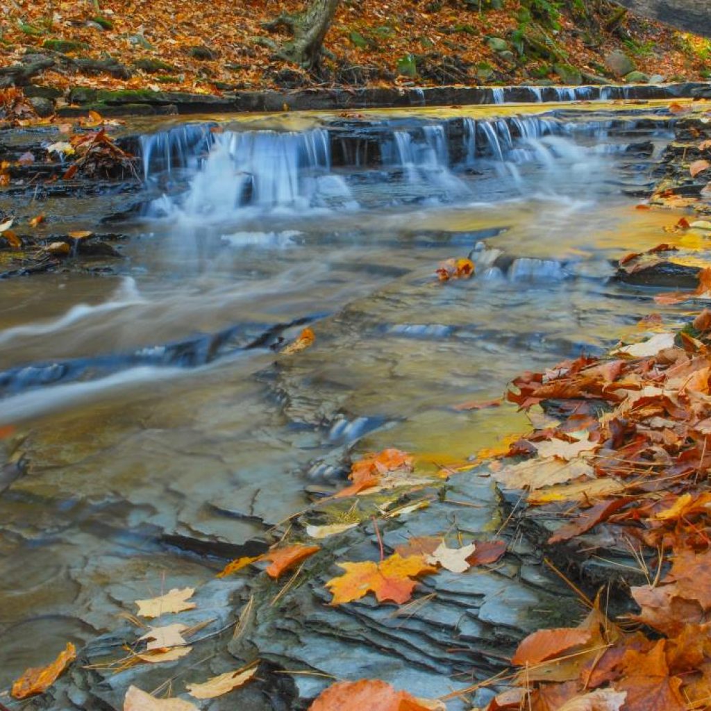 Gallery - Springwater Center